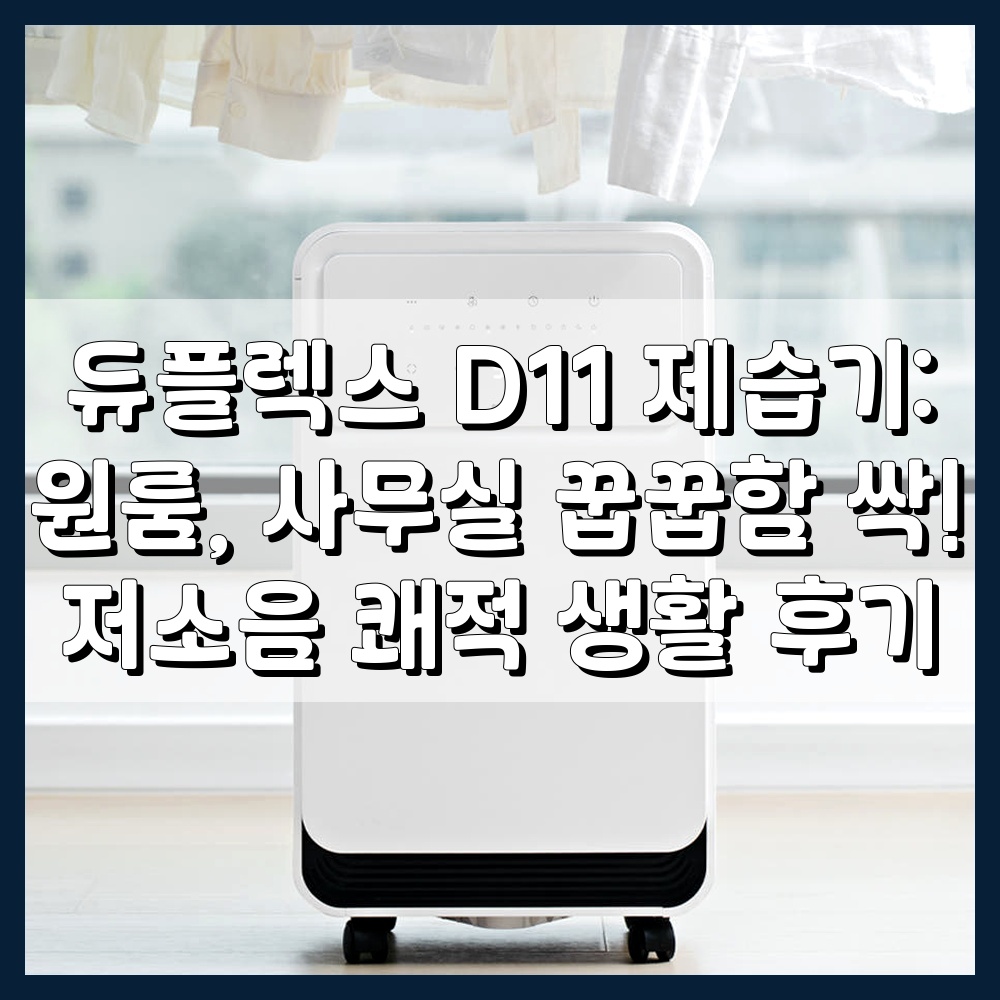 듀플렉스 D11 제습기가 놓인 쾌적한 사무실