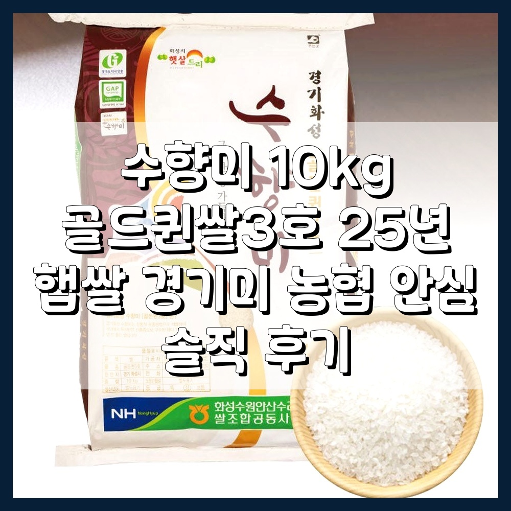 수향미 10kg 골드퀸쌀3호 25년 햅쌀 경기미 농협 안심 솔직 후기
