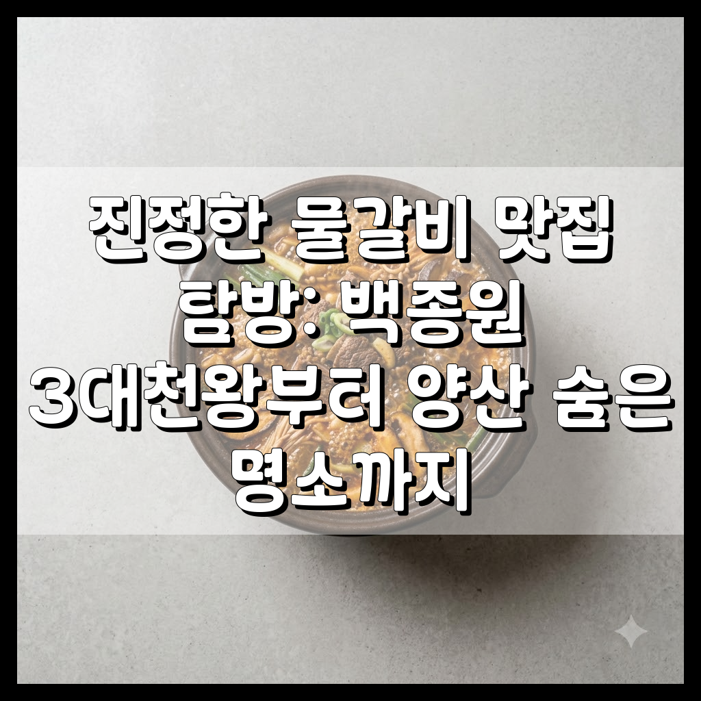 진정한 물갈비 맛집 탐방: 백종원 3대천왕부터 양산 숨은 명소까지